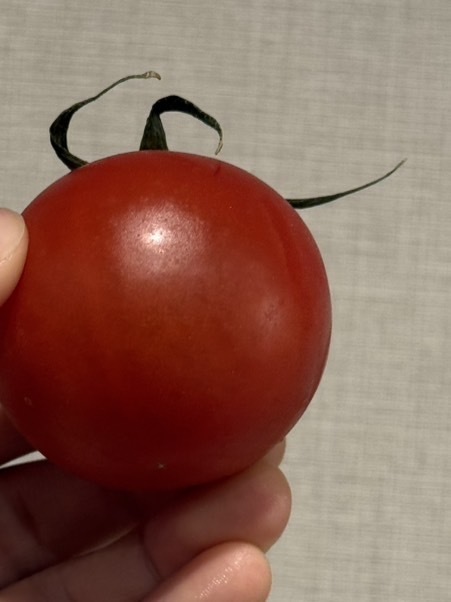 美味しすぎ