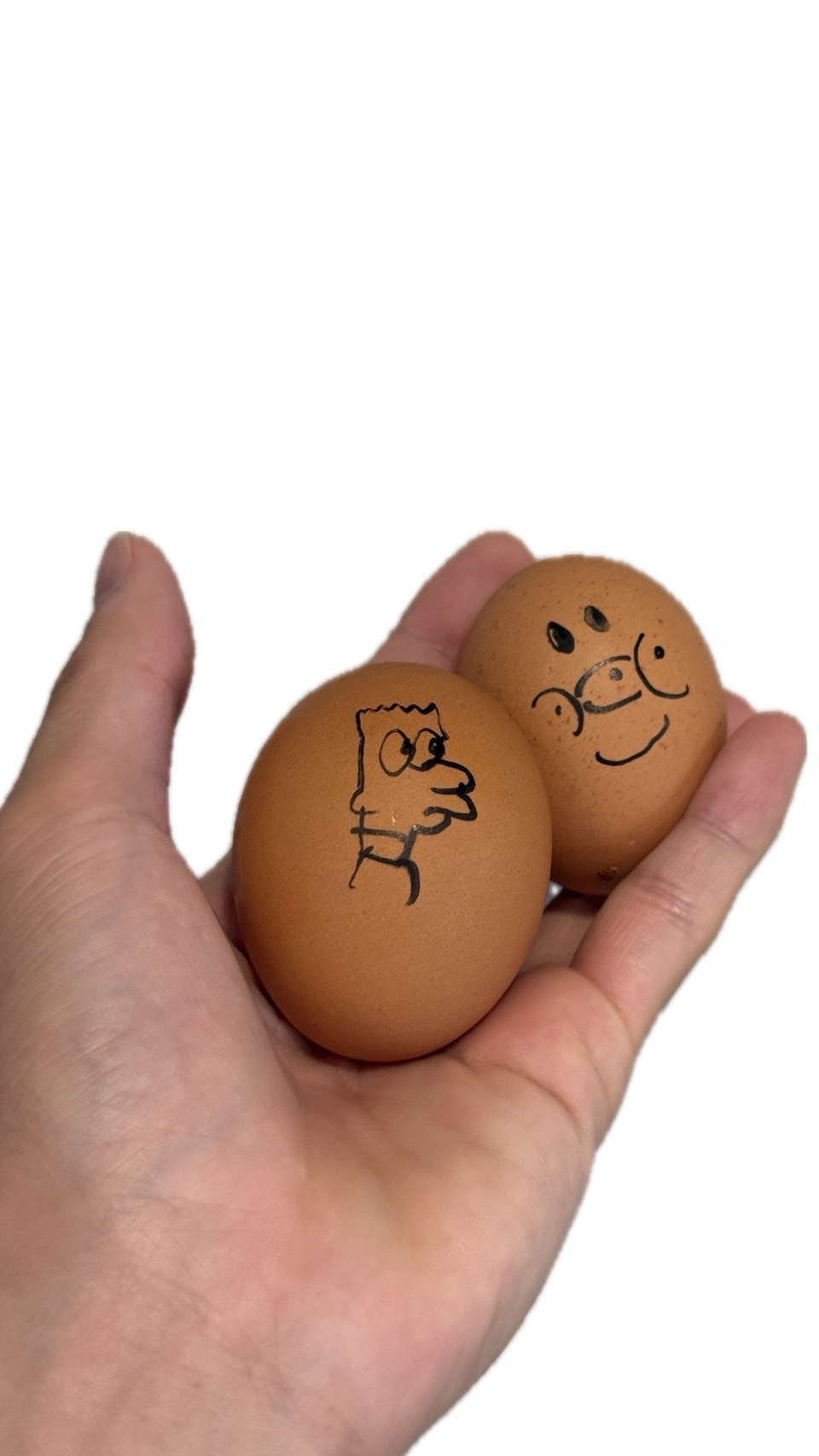 たまご🥚